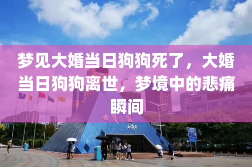 梦见大婚当日狗狗死了，大婚当日狗狗离世，梦境中的悲痛瞬间