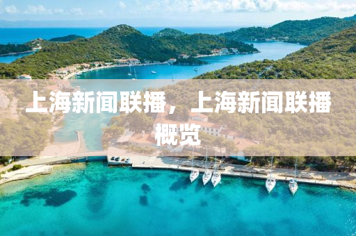 上海新闻联播，上海新闻联播概览