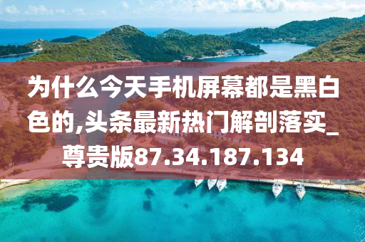 为什么今天手机屏幕都是黑白色的,头条最新热门解剖落实_尊贵版87.34.187.134