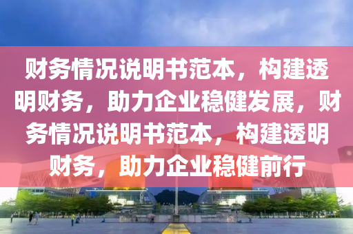 财务情况说明书范本，构建透明财务，助力企业稳健发展，财务情况说明书范本，构建透明财务，助力企业稳健前行