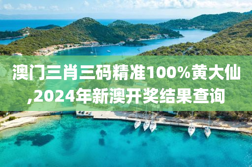 澳门三肖三码精准100%黄大仙,2024年新澳开奖结果查询