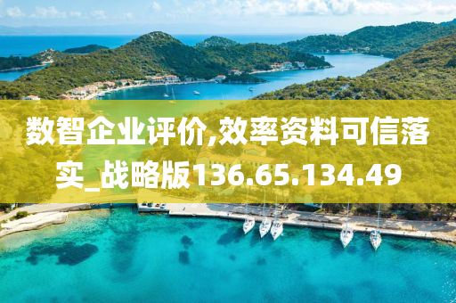 数智企业评价,效率资料可信落实_战略版136.65.134.49