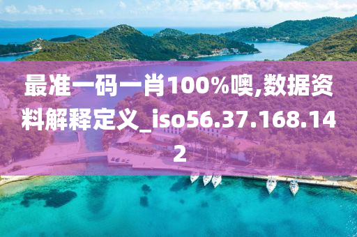 最准一码一肖100%噢,数据资料解释定义_iso56.37.168.142