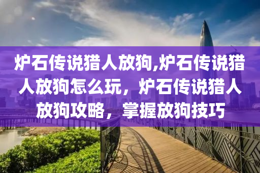 炉石传说猎人放狗,炉石传说猎人放狗怎么玩，炉石传说猎人放狗攻略，掌握放狗技巧