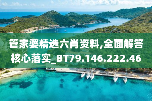 管家婆精选六肖资料,全面解答核心落实_BT79.146.222.46