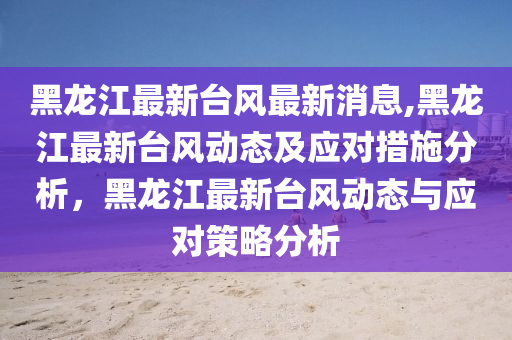 黑龙江最新台风最新消息,黑龙江最新台风动态及应对措施分析，黑龙江最新台风动态与应对策略分析