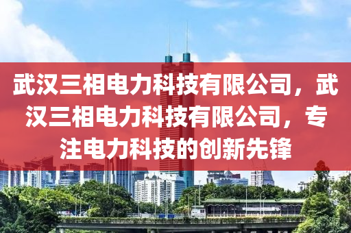 武汉三相电力科技有限公司，武汉三相电力科技有限公司，专注电力科技的创新先锋